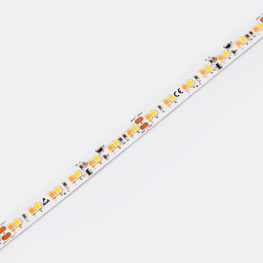 LED strip COLORS 2835-168-24V 14.4W 1050Lm (DS8168GWWW-24V-10mm)